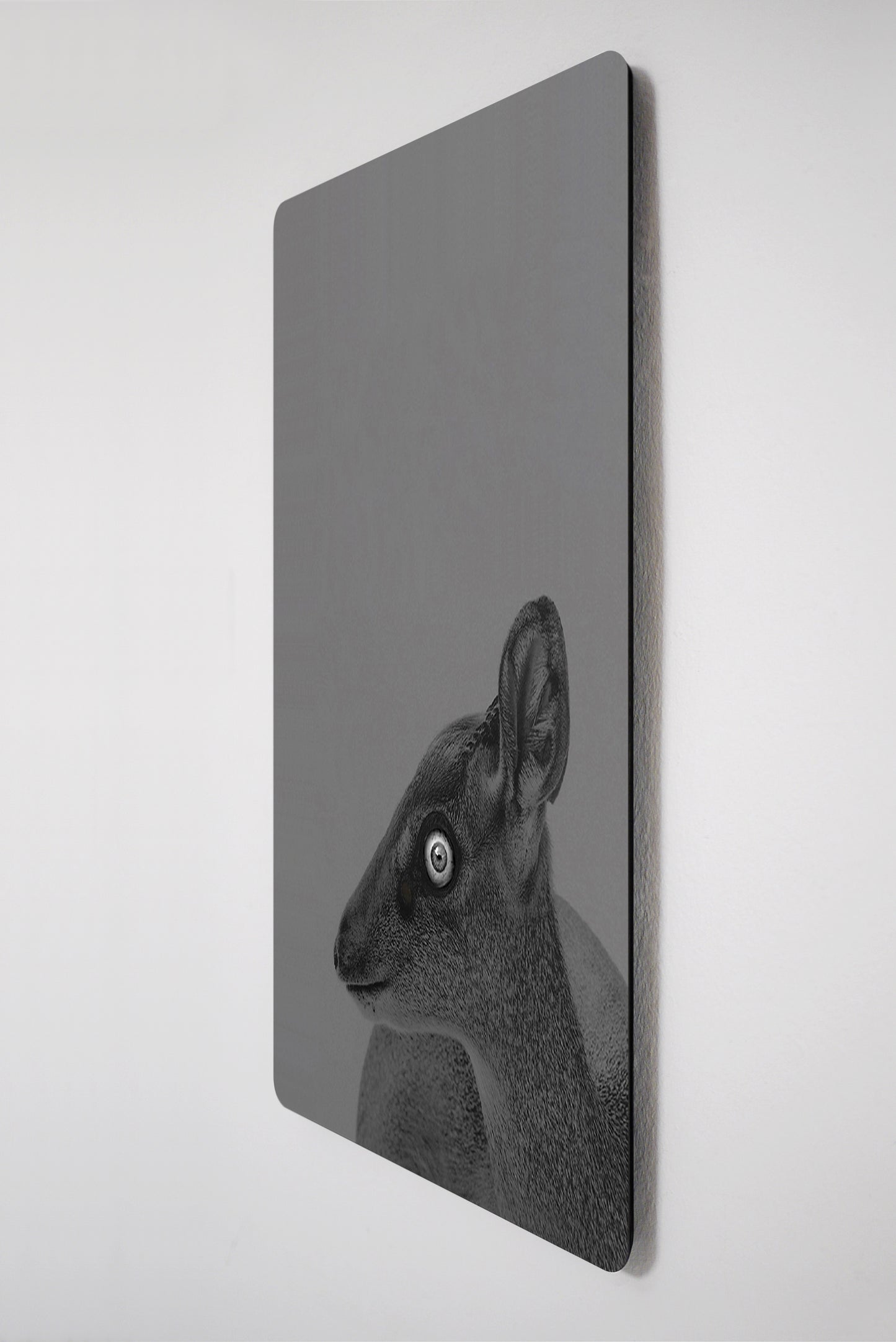 Grey Bambi