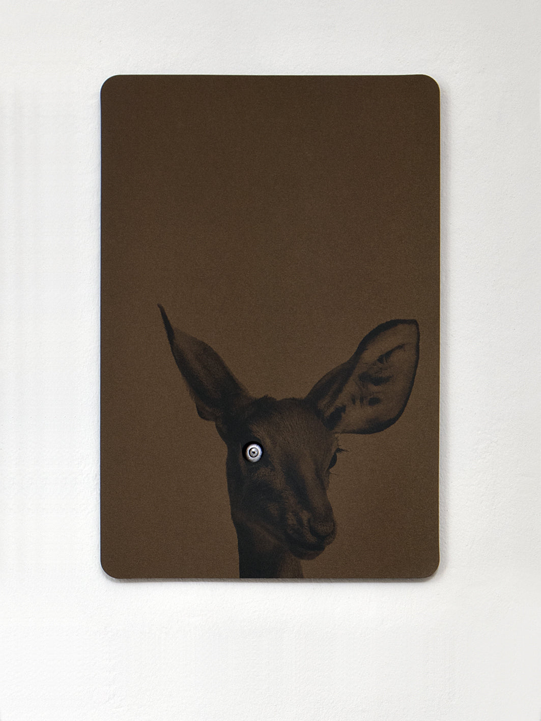Bronze Fawn