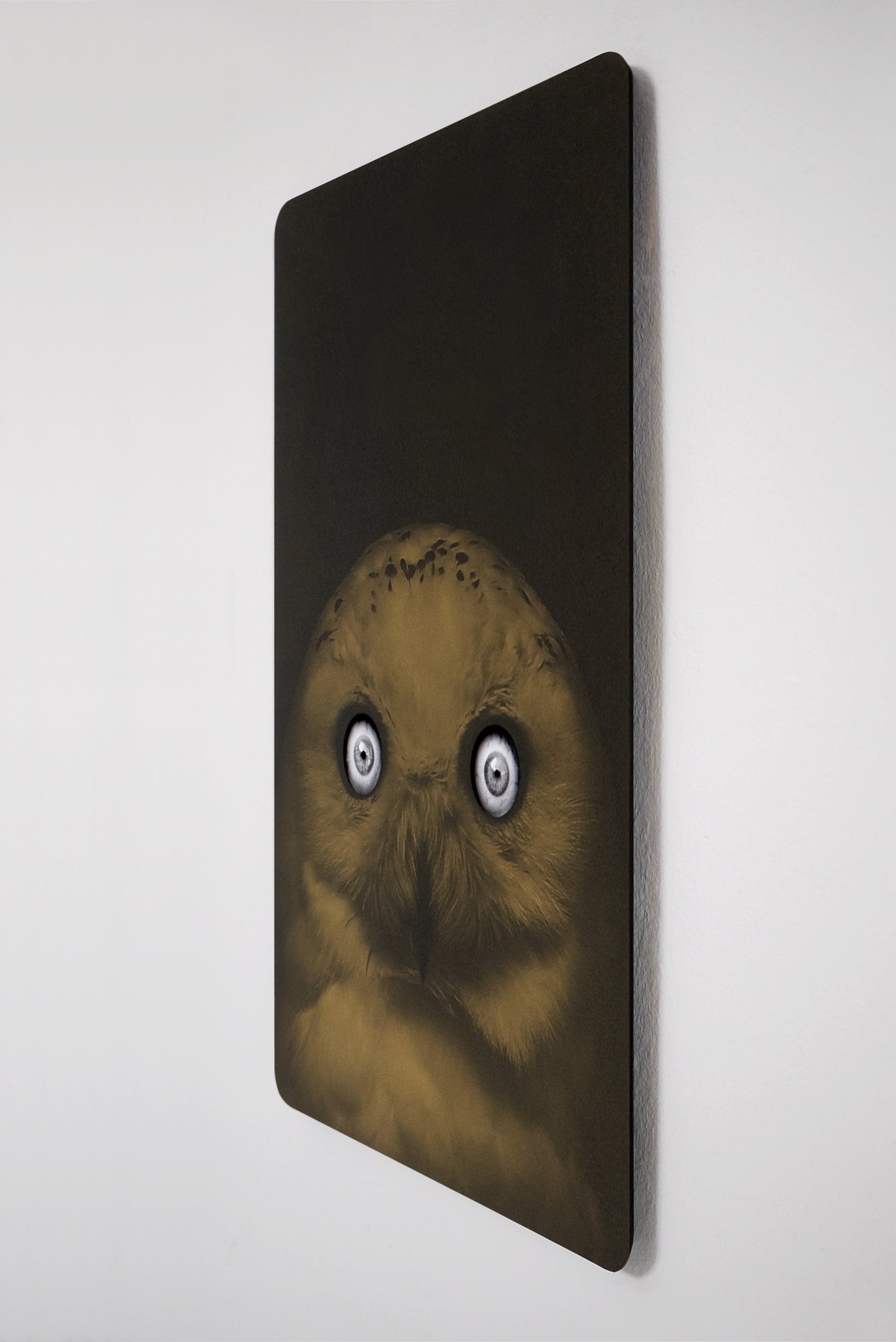 Bronze Owl