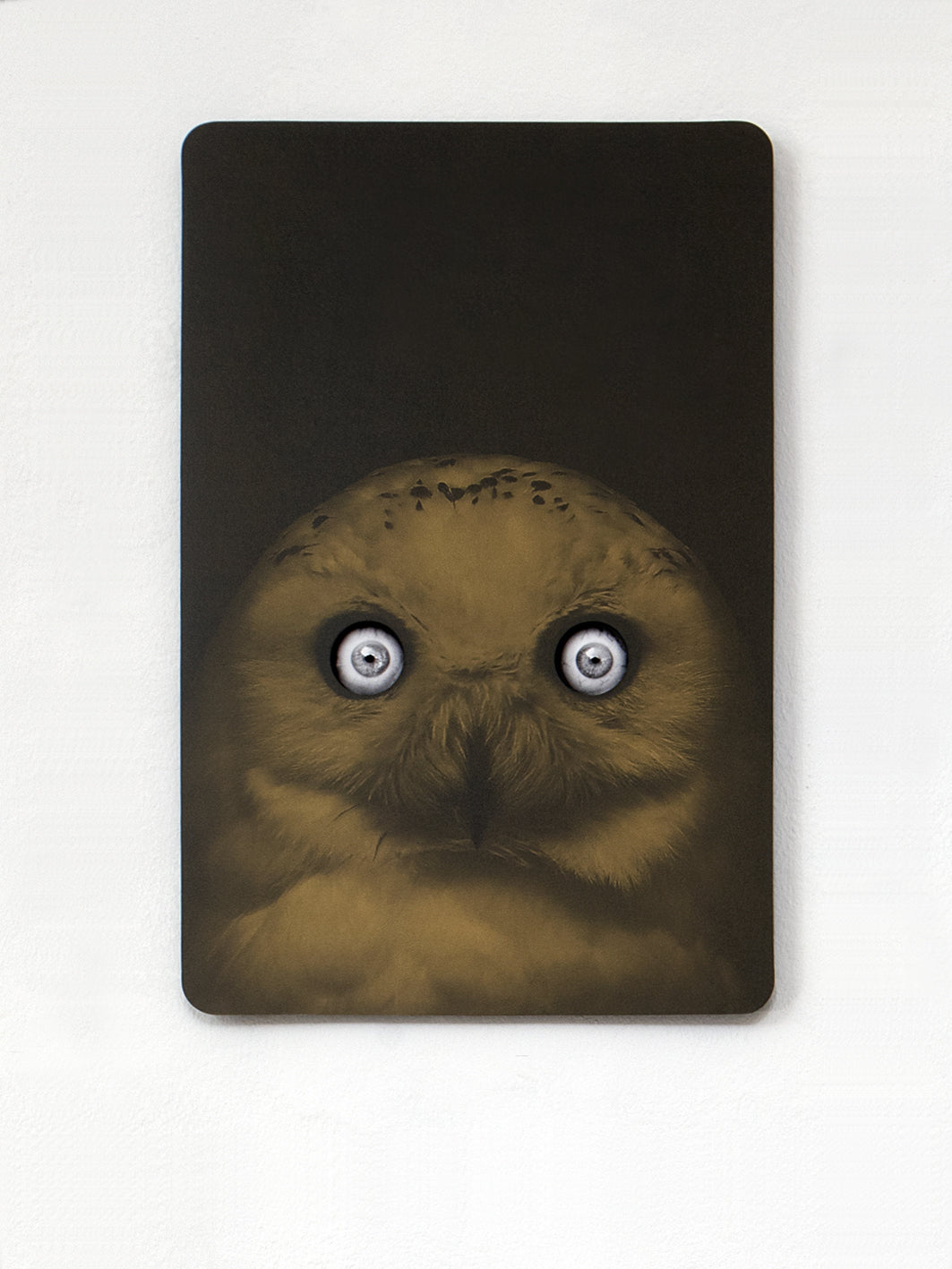 Bronze Owl